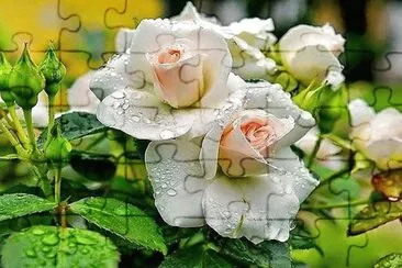 flores jigsaw puzzle