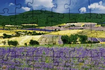 ×¦×¨×¤×ª jigsaw puzzle