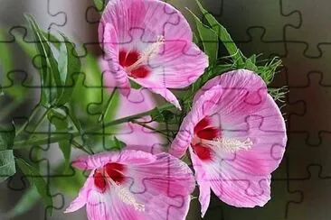 flores jigsaw puzzle