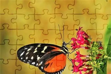 natural jigsaw puzzle