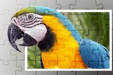 natural jigsaw puzzle