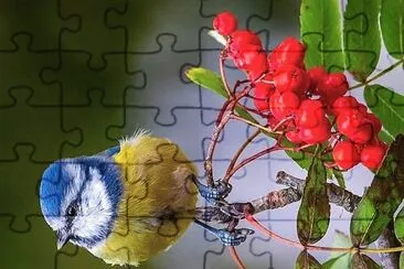 natural jigsaw puzzle