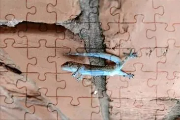 natural jigsaw puzzle