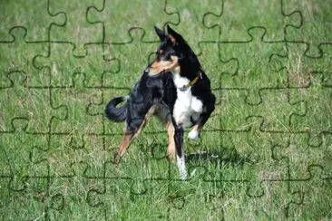 Tina 04.08 jigsaw puzzle