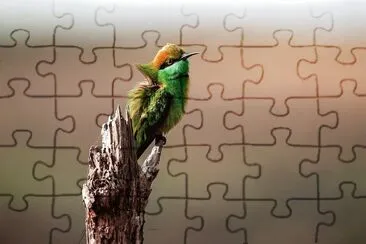 natural jigsaw puzzle