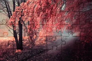 naturaleza jigsaw puzzle