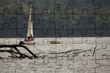 vela jigsaw puzzle