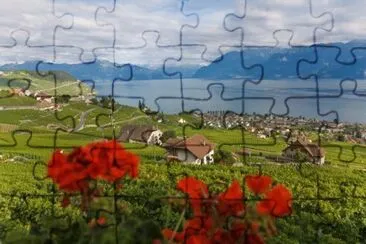 LÃ©man jigsaw puzzle