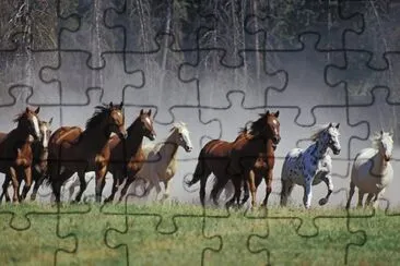 heartland jigsaw puzzle