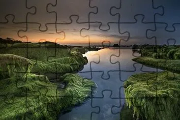 Nature jigsaw puzzle