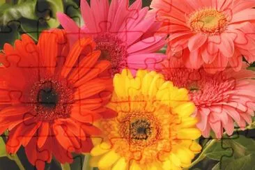 Flores jigsaw puzzle