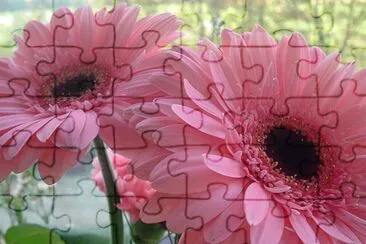 Flor jigsaw puzzle