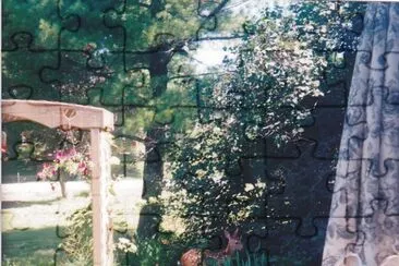 Fawn in the flower garden