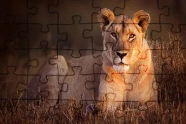 Leona jigsaw puzzle