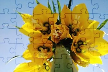 flores jigsaw puzzle