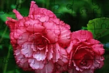 flores jigsaw puzzle