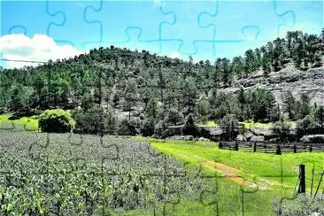 Sierra Tarahumara, Chihuahua. jigsaw puzzle