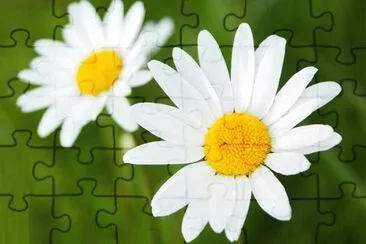 Foto jigsaw puzzle