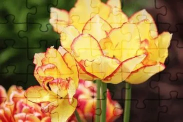 OK jigsaw puzzle