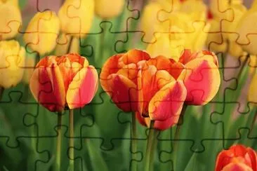 OK jigsaw puzzle