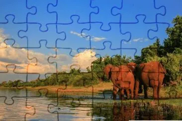 Ã©lÃ©phants jigsaw puzzle