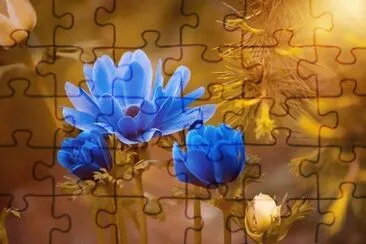 OK jigsaw puzzle