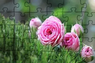 OK jigsaw puzzle