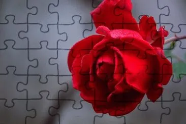 OK jigsaw puzzle