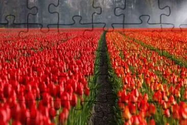 OK jigsaw puzzle