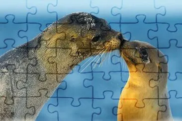 Foto jigsaw puzzle