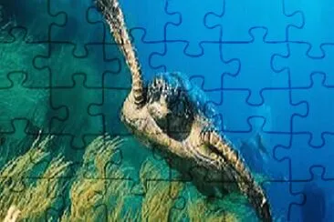 Foto jigsaw puzzle