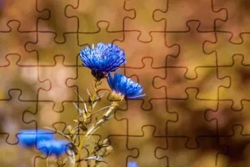 OK jigsaw puzzle