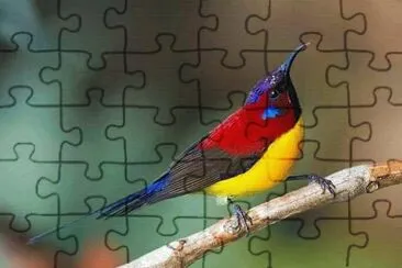 natural jigsaw puzzle