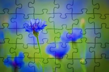 OK jigsaw puzzle