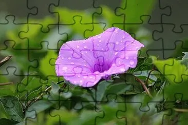 OK jigsaw puzzle