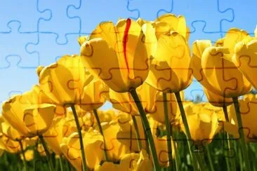 OK jigsaw puzzle