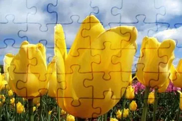 OK jigsaw puzzle