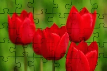 OK jigsaw puzzle