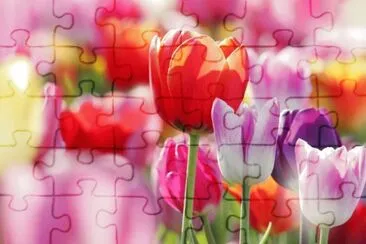 OK jigsaw puzzle