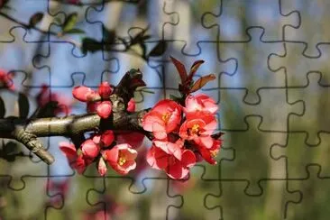 OK jigsaw puzzle