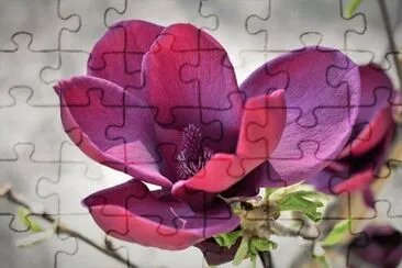 OK jigsaw puzzle