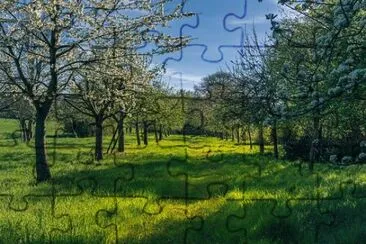 Nature jigsaw puzzle