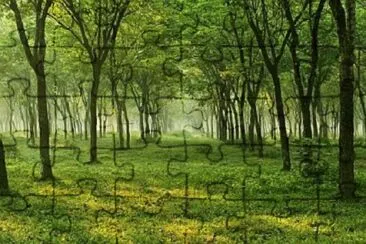 Nature jigsaw puzzle