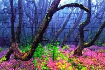 Nature jigsaw puzzle