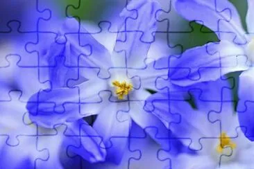 OK jigsaw puzzle