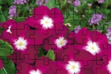 OK jigsaw puzzle