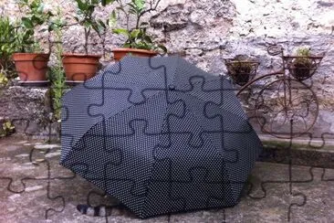 Choupie jigsaw puzzle