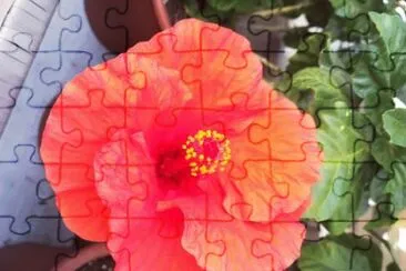 flower jigsaw puzzle