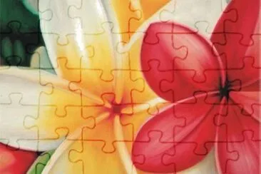  jigsaw puzzle