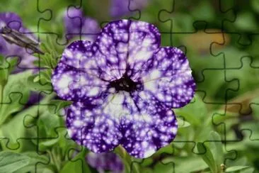 OK jigsaw puzzle